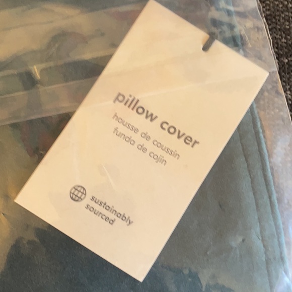 West Elm Washed Velvet Pillow Covers 18x18 - 2 set - Picture 2 of 4